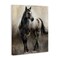 Stupell Industries Copper & Nickel Horse Canvas Wall Art Design by Marilyn Hageman